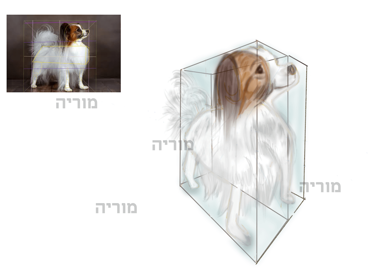 איור דיגיטלי בהתאמה אישית