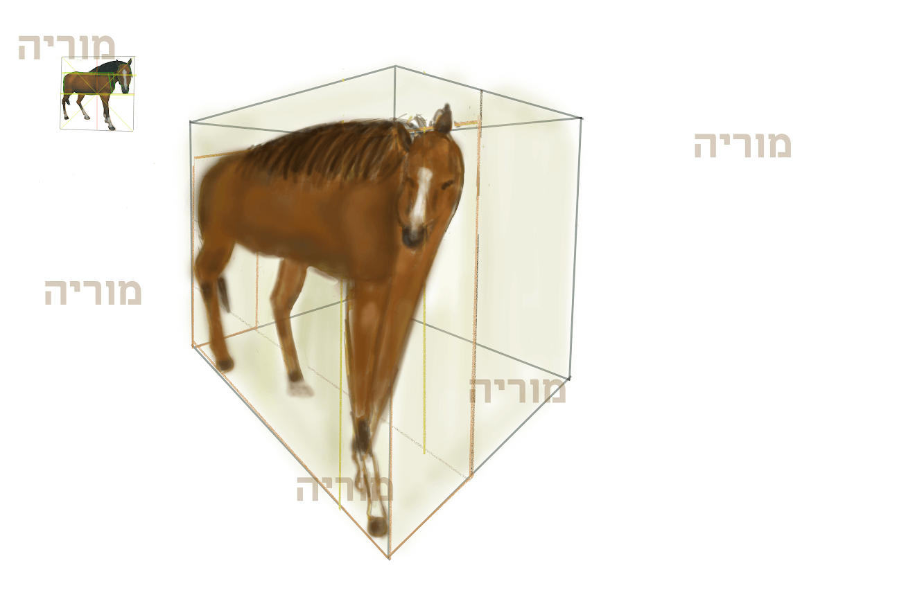 איור דיגיטלי בהתאמה אישית