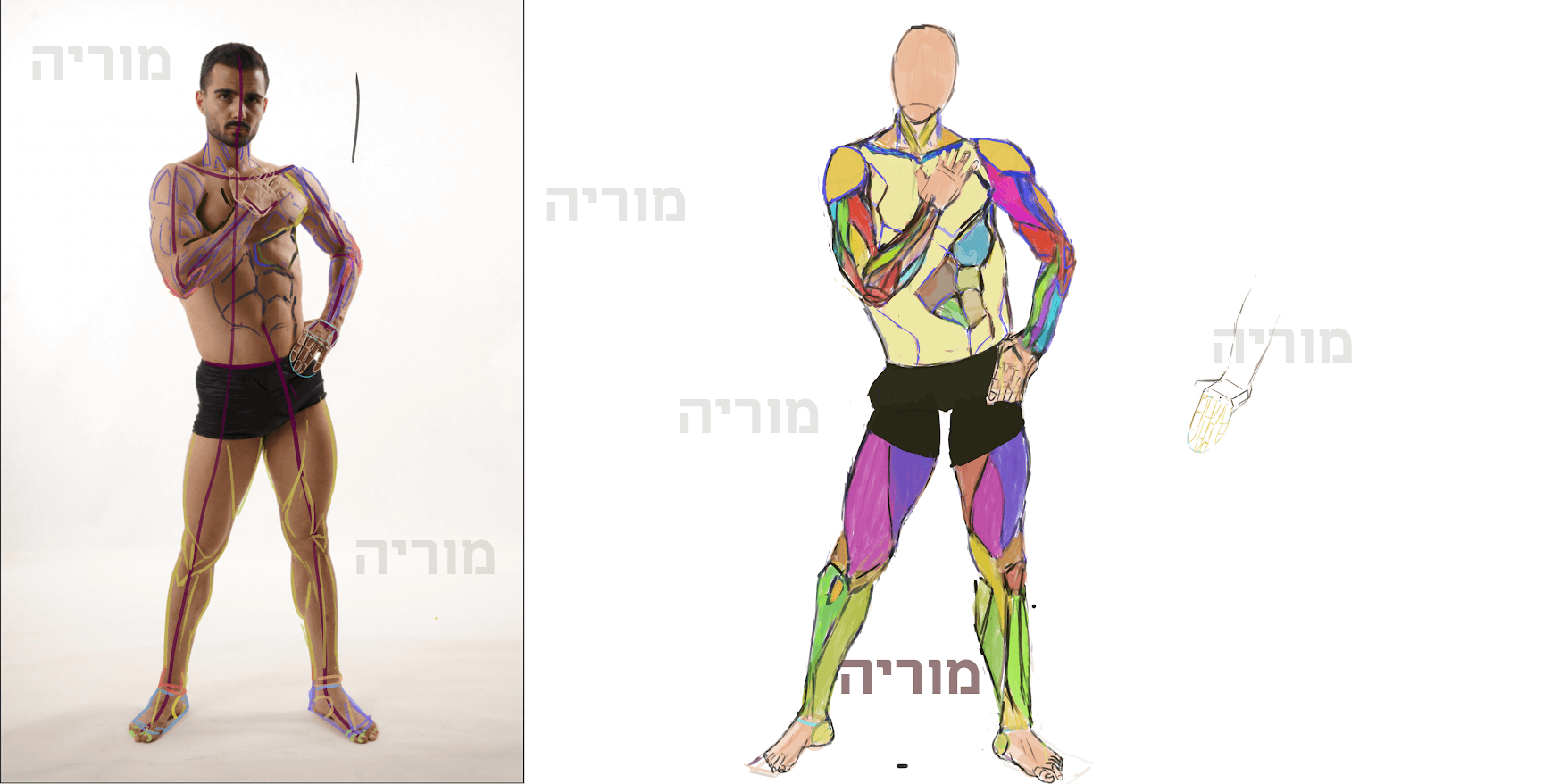 איור דיגיטלי בהתאמה אישית